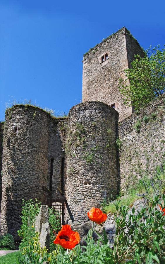Belcastel  Chambre D'Hotes Au Chateau De Belcastel מראה חיצוני תמונה